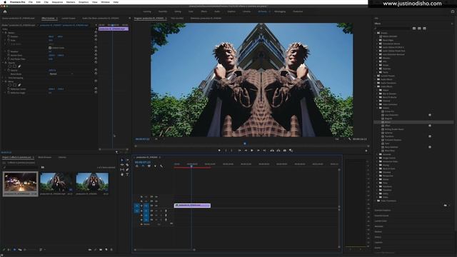 5+ Tips for Mastering Effects in Adobe Premiere Pro CC (Tutorial)
