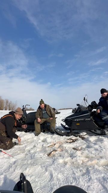 Щука на оби, ловим щуку на балансиры, щука на ратлин, на что ловить щуку зимой. Весенний жор щуки