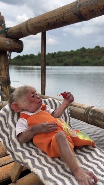 Релакс.😂🤗❤️