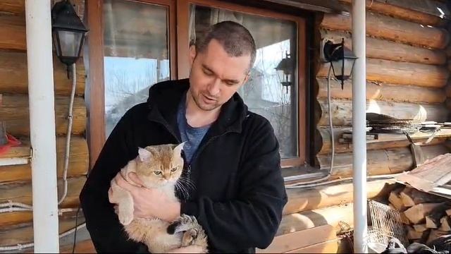 Буся и Лёва, котята 2025 март