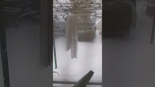 зелёненькая травка!?
