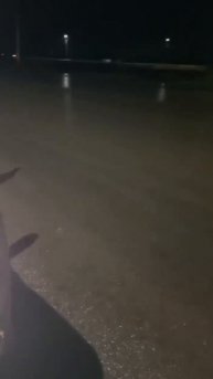 Воссоединение семьи из Суджи