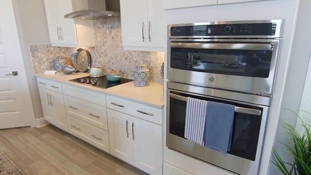 The Primrose Model  in Persimmon Park
