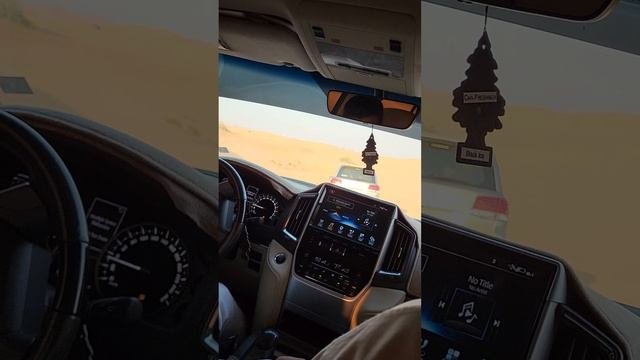 Dubai. Дубай  15-03-2025