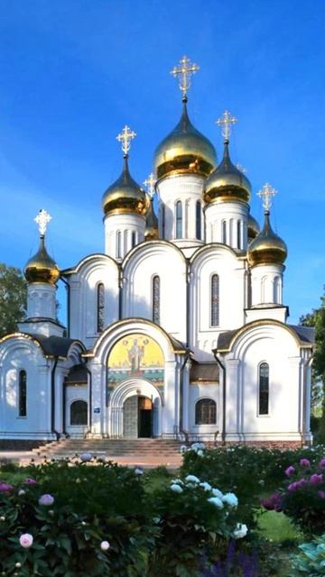 Душевный лекарь#Церковь#shortvideo#shorts#Молитва#Православие