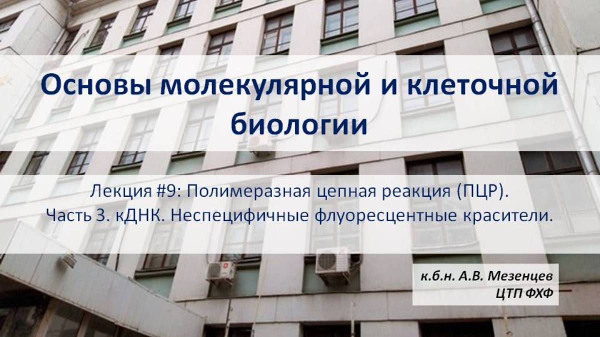 Основы молекулярной и клеточной биологии (2024) Л9 ПЦР Ч3 Неспецифичные флуоресцентные красители