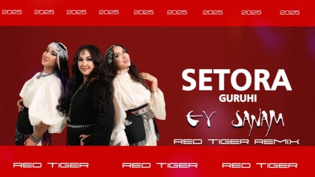 Setora - Ey Sanam _ Red Tiger remix