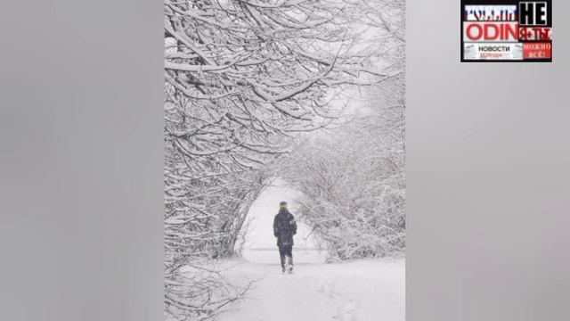 🥶 В Подмосковье снова зима. Сегодня замело Серпухов, Коломну и Ступино.