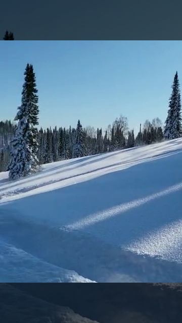 Счастье живет рядом с нами