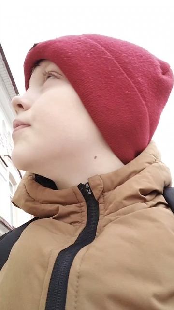 Моя жизнь
