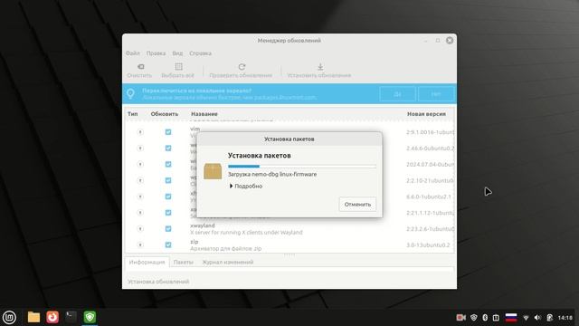 обновление пакетов после первого запуска Linux Mint 22.1 Cinnamon