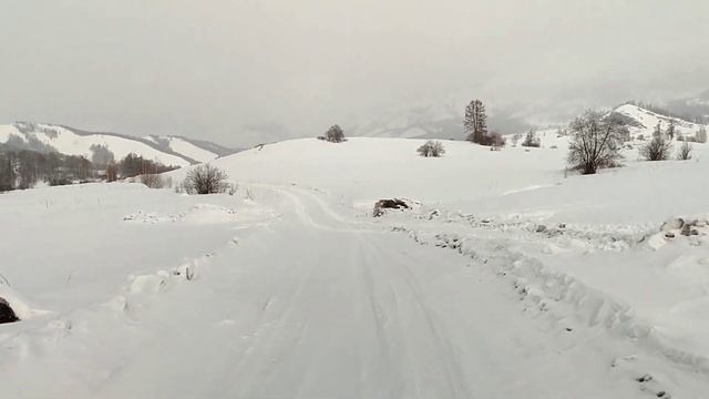 Съездили на пасеку