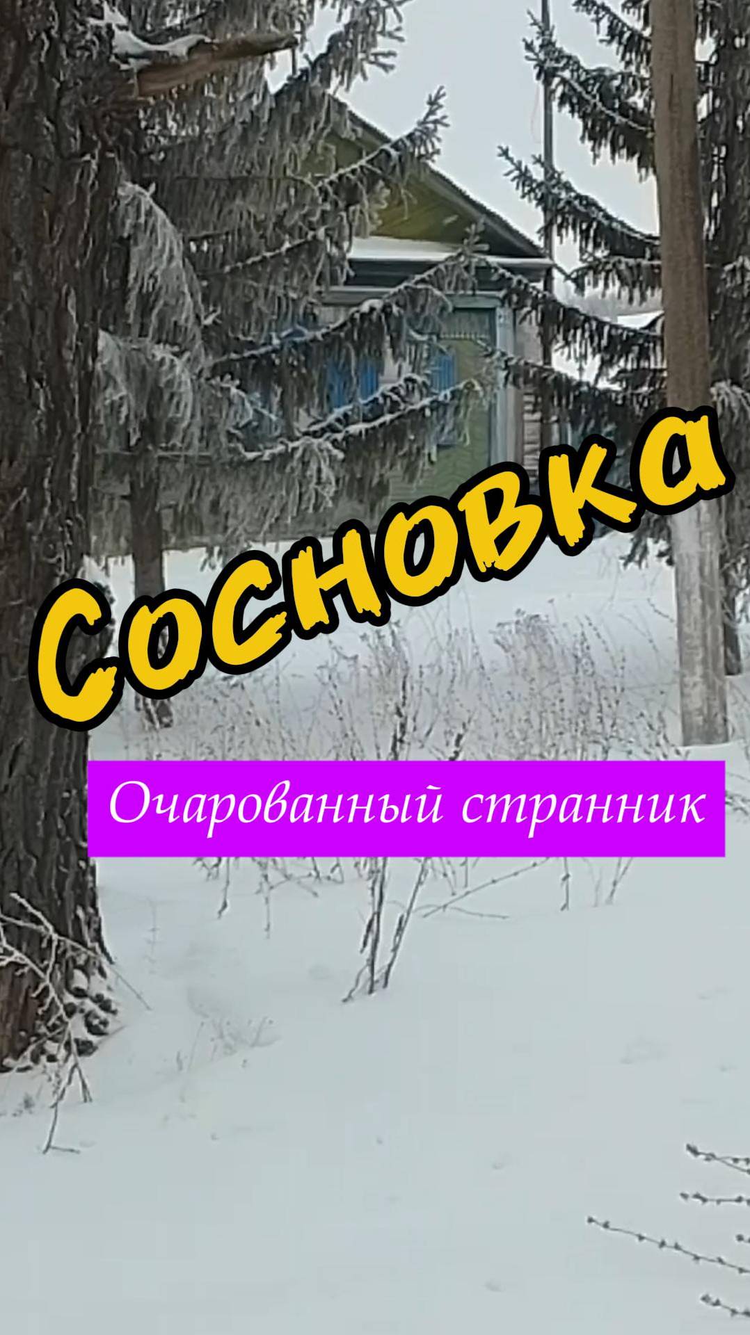 Сосновка