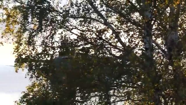 Бундесвер продолжает испытания дрона для медицинской эвакуации и логистики Grille