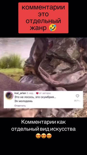 комметрарии как отдельный жанр 🤣
