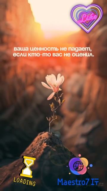 ☀️ Ваша ценность не падает, если кто-то вас не ценит 🌸