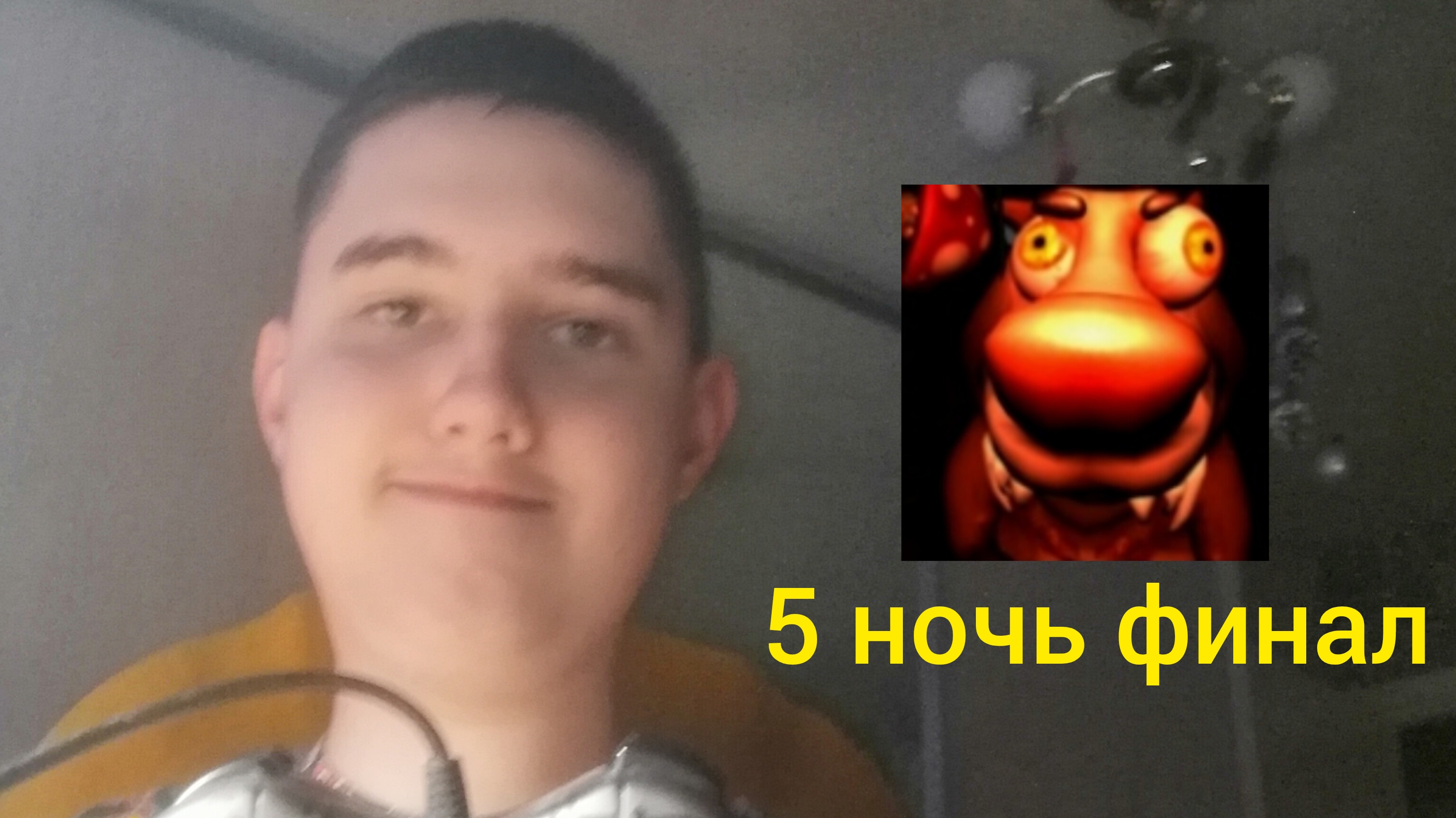 Я играю в пять ночей с бобром 5 ночь финал (андроинд версия)!