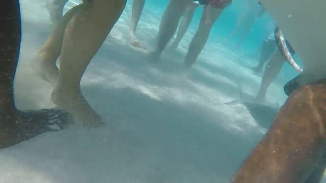 Grand Cayman 22Feb17