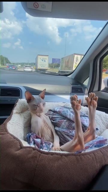 Выходные😍