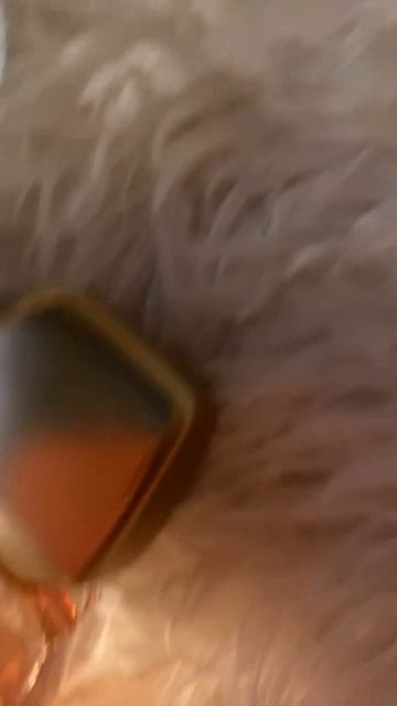 6063871313_AQPGPXc6H_frp84jQ61cNKWDZyph3dbbU_SZYuK_3yBZvaLv4M_X