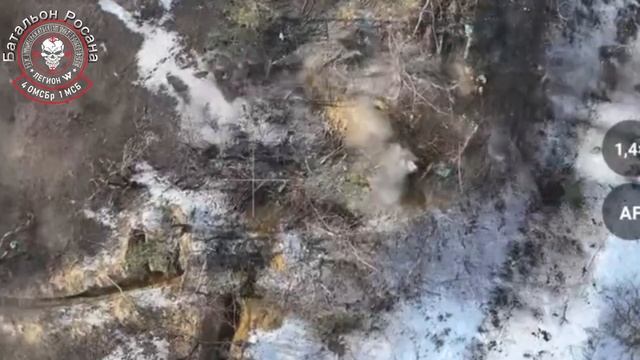 Денацификация нашими птичниками