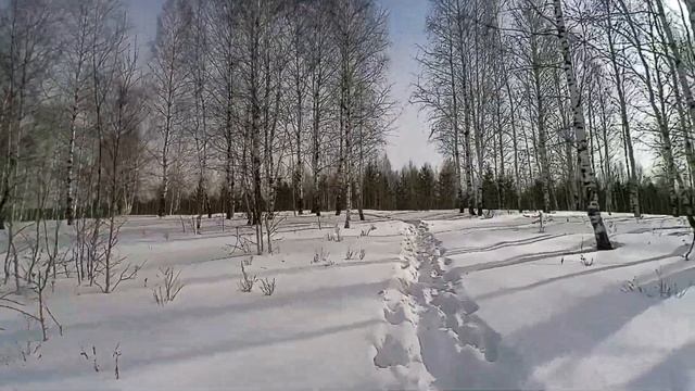 Первый день весны, ты ли это?