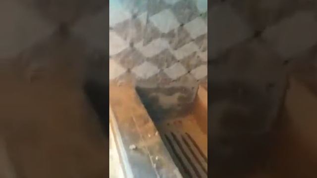 Очок мангал заказ алабыз 0555864661