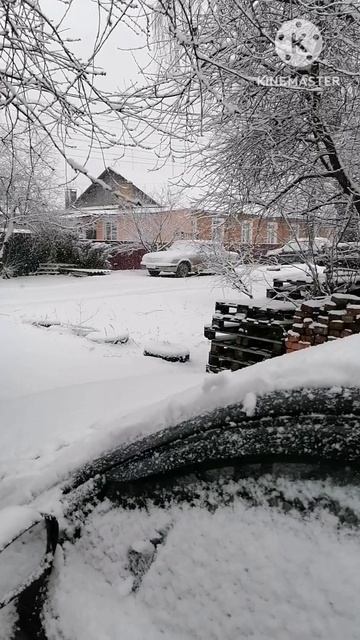 15 марта снова зима.mp4