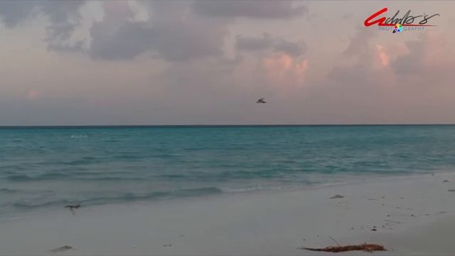 Beautiful Thulusdhoo