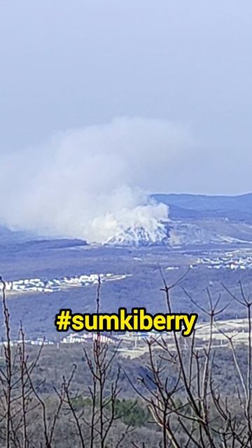 Экологическая катастрофа в Новороссийске #новороссийск #полигон #свалка #краснодарскийкрай