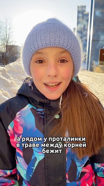 Черемуха душистая