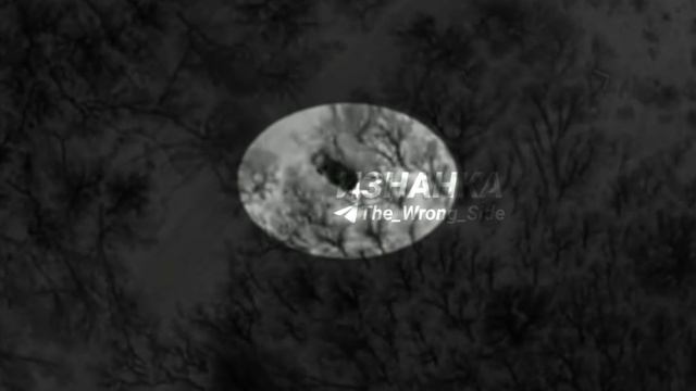 В отсутствие украинского ПВО в Курской области продолжается работа ударных дронов. На кадрах ...