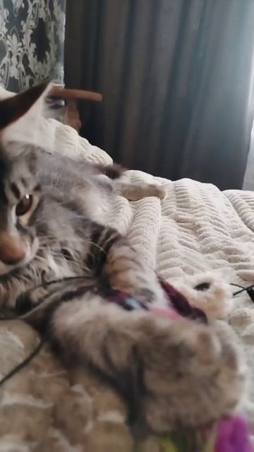 1000030510.mp4