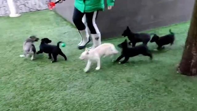 1000064199.mp4