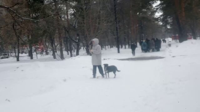 13.03.2025. Почти пришла домой, Амурский бульвар 😊