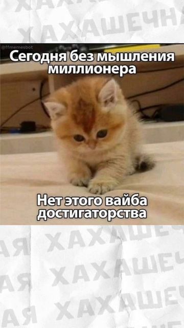 Мемы и мемы #приколы #мемы #мем #лютыеприколы #хахашечная