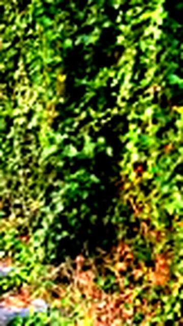 Нереальные кадры