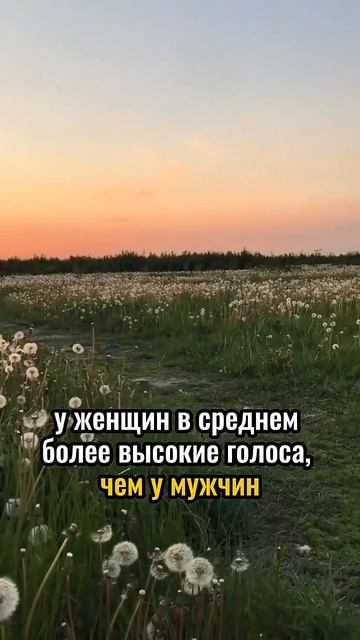 Психологические факты про женщин