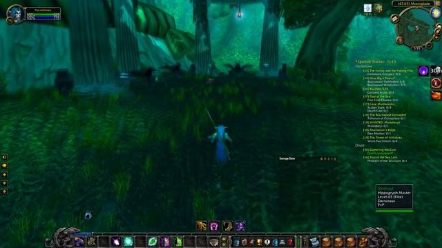 druid travel quest
