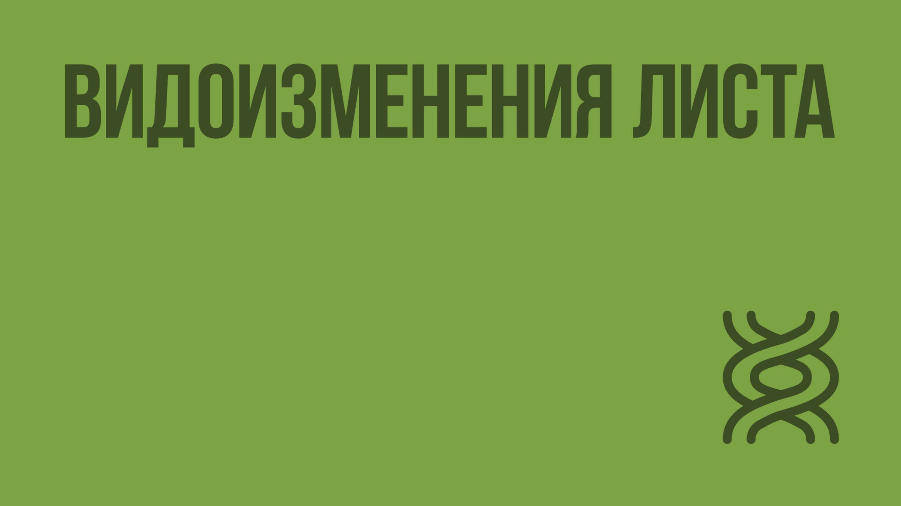 Видоизменения листа. Видеоурок по биологии 5 класс