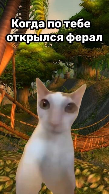Когда открылся ферал #games #worldofwarcraft #playwow #warcraft #мем #tiwtch #wowclassic