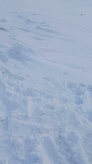 Синда Маяк щука на5кг 12февраля2025