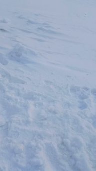 Синда Маяк щука на5кг 12февраля2025