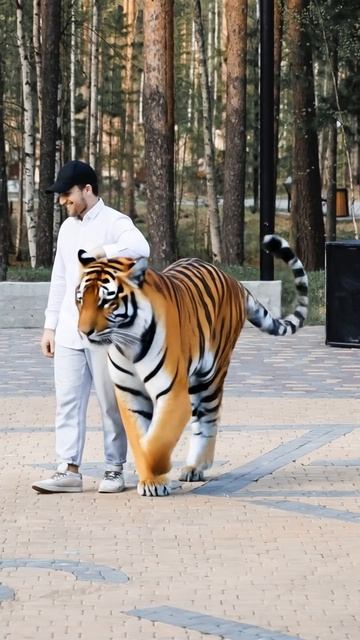 Нейросеть показала, кто я по китайскому календарю 🗓️😺