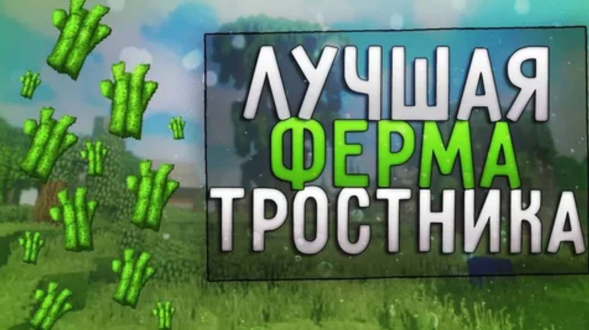 Построил ферму тростника на анархии