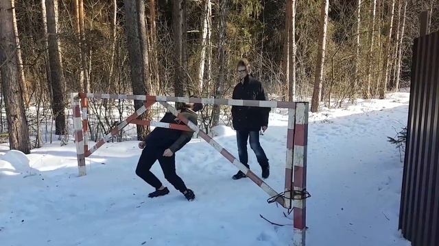 [WeeklyFellas #2] Задумчивый Лес