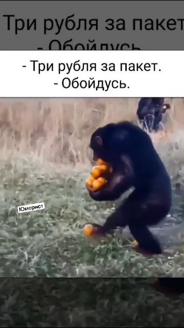 VID-20250315-WA0743