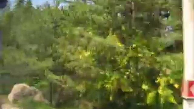 Angara-Alushta