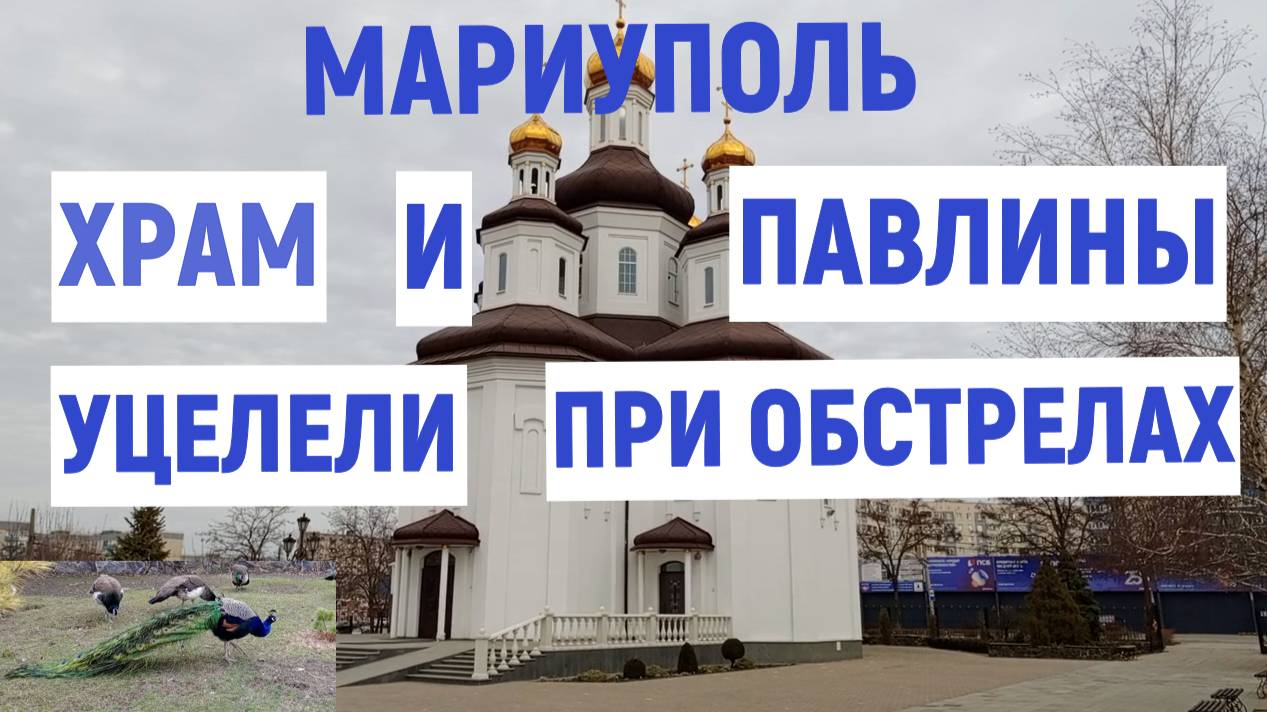 МАРИУПОЛЬ ХРАМ С ПАВЛИНАМИ ВЫЖИВШИМИ ПРИ ОБСТРЕЛАХ