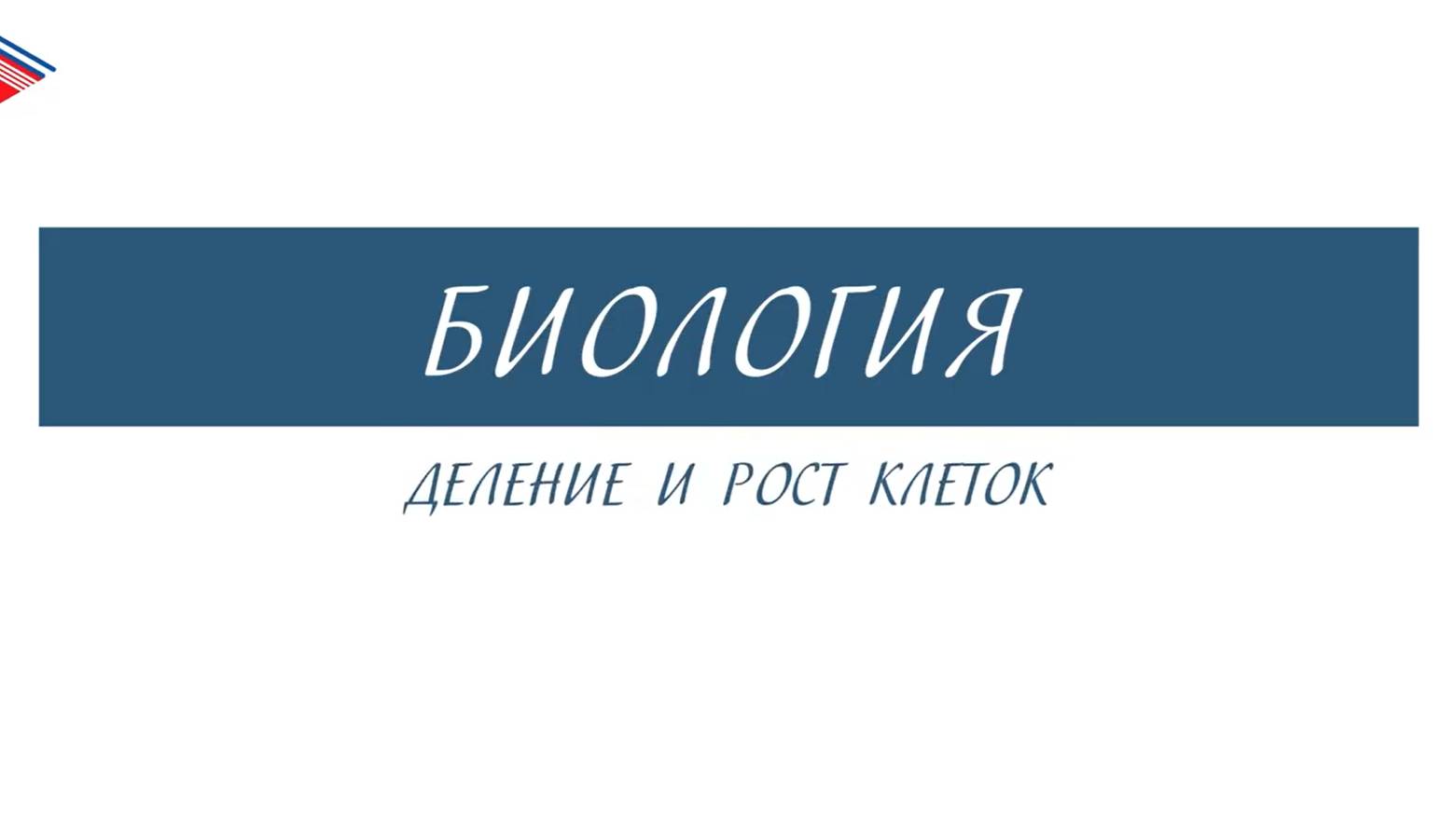 6 класс - Биология - Деление и рост клеток